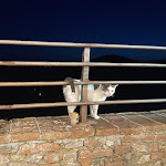 Photo n°11 de l'avis de Barbara.a fait le 17/02/2024 à 11:35 sur le  Il Baronetto à Amelia