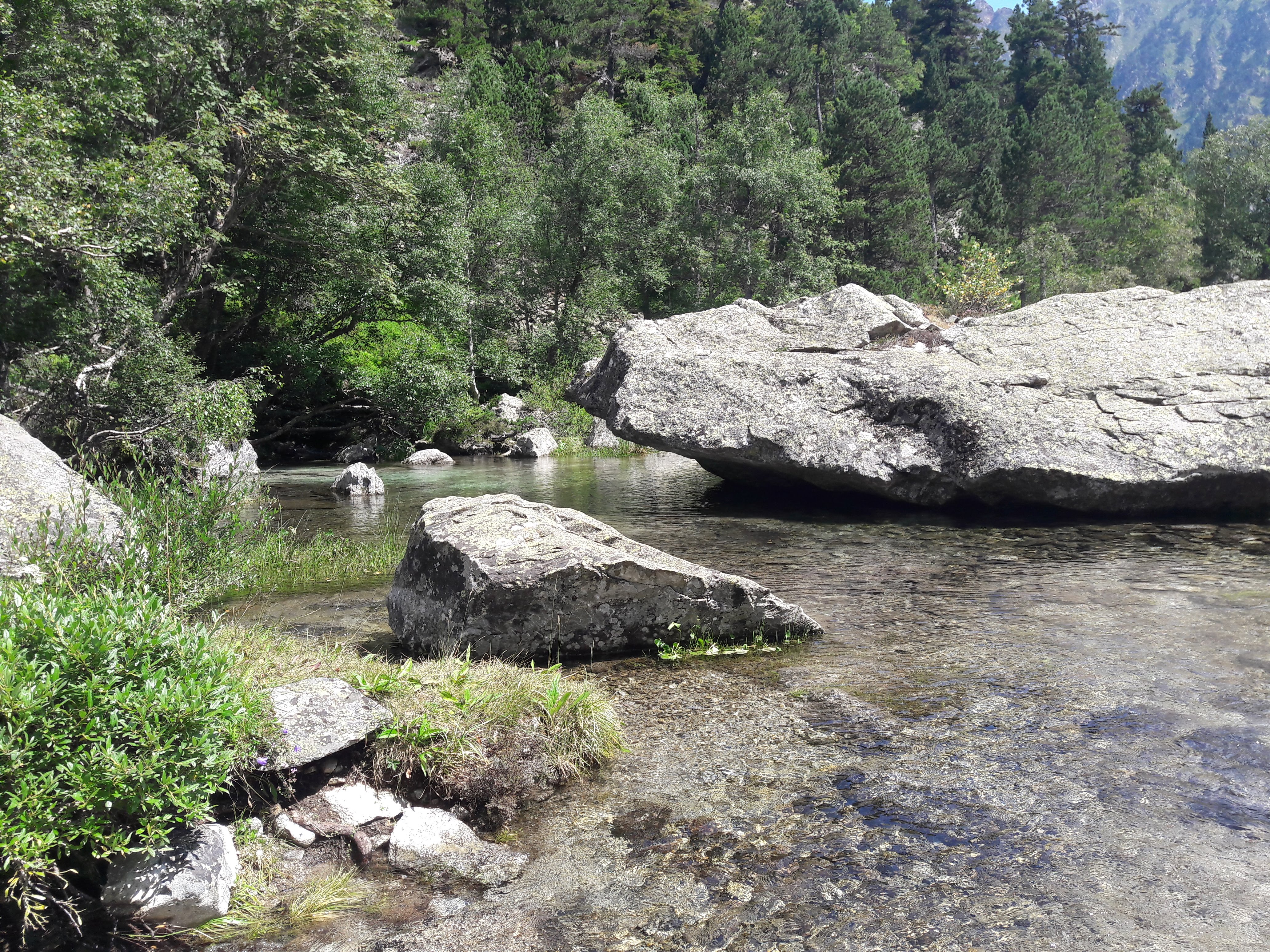 Photo n° 1 de l'avis de FRED. fait le 25/08/2018 à 12:52