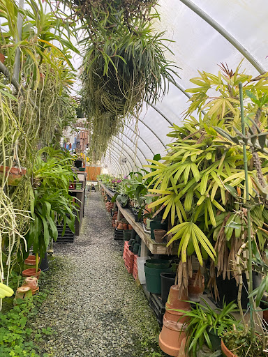 Florist «Floradise Orchids», reviews and photos, 19154 James Madison Hwy, Gordonsville, VA 22942, USA