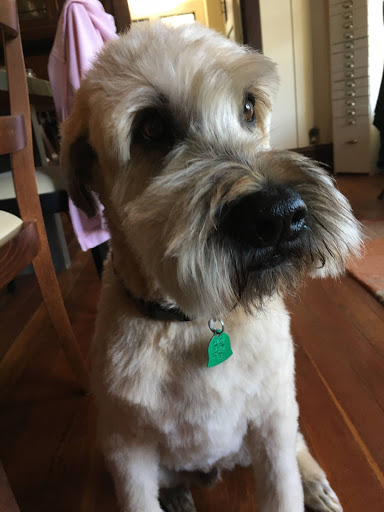 Pet Supply Store «Myrtle Avenue Pet Center», reviews and photos, 2725 Hubbard Ln, Eureka, CA 95501, USA