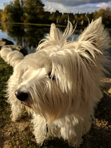 Park «Commonwealth Lake Park», reviews and photos, SW Butner Rd & SW Huntington Ave, Cedar Hills, OR 97225, USA