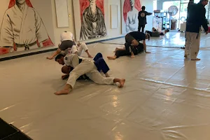 Brazilian Jiu Jitsu Club of Michigan image