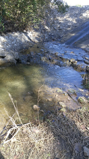 Recreation Center «Joe Farmer Recreation Center», reviews and photos, 1201 E Bethany Dr, Allen, TX 75002, USA