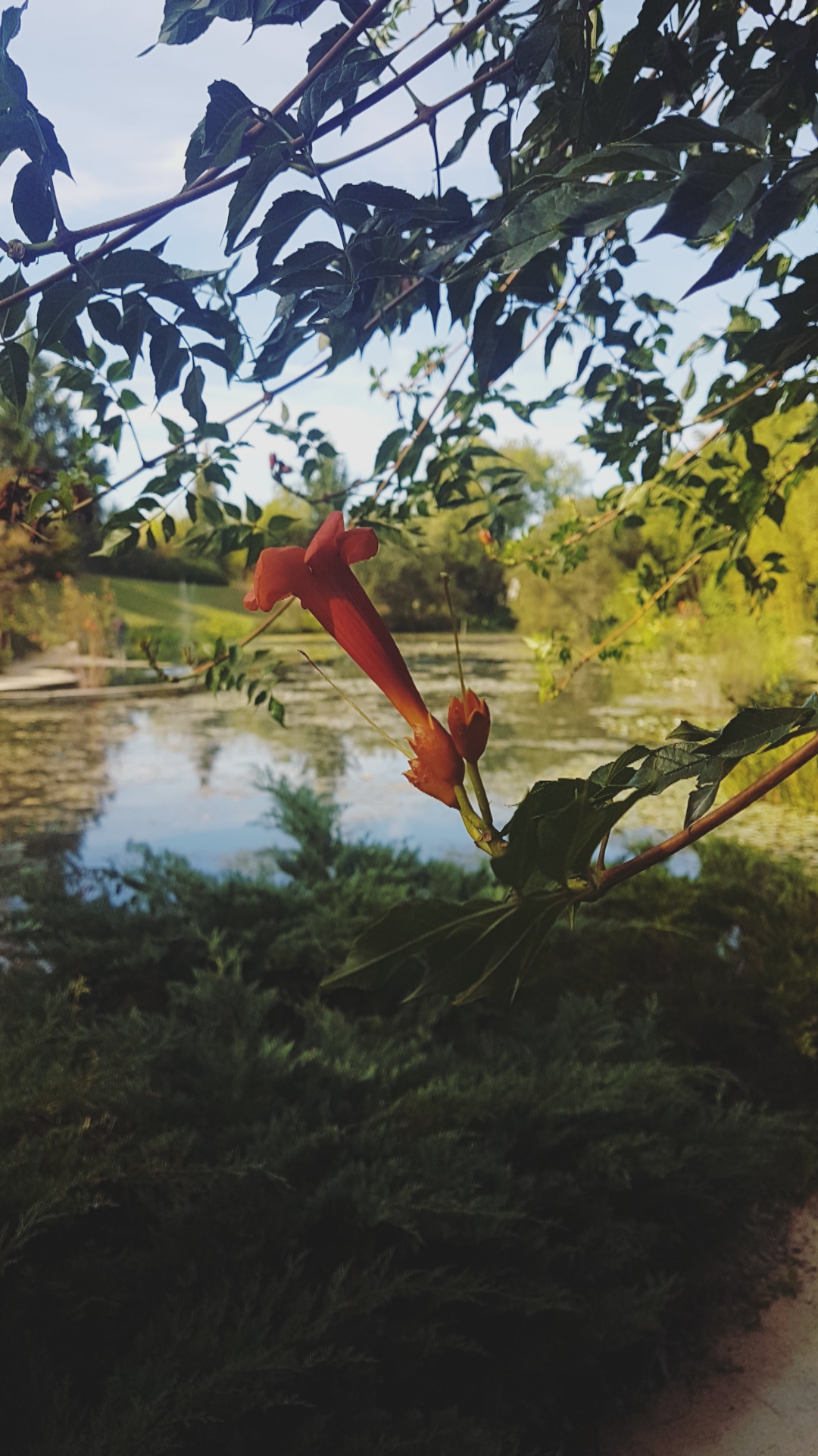 Photo n° 10 de l'avis de Amélie.e fait le 02/10/2018 à 10:36