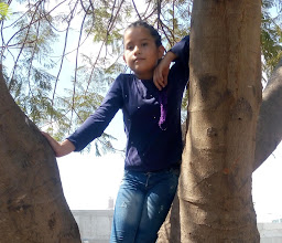 Parque Galeana Y Rosas photo