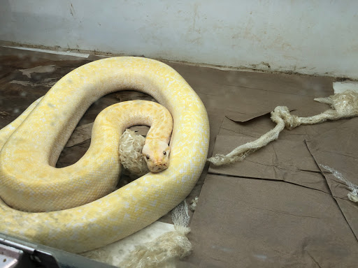 Reptile Store «La Habra Pets», reviews and photos, 1919 W La Habra Blvd, La Habra, CA 90631, USA