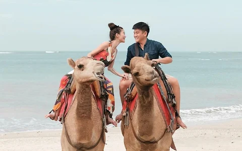 Bali Camel Adventure image