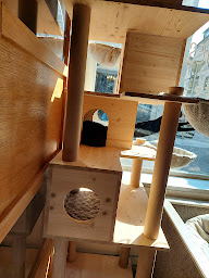 Photo n°28 de Café des Félins à Besançon ()