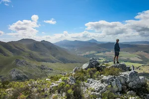 Phillipskop Mountain Reserve image