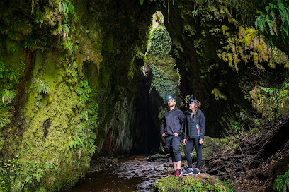 Limestone Creek Reserve Glow Worm Caves