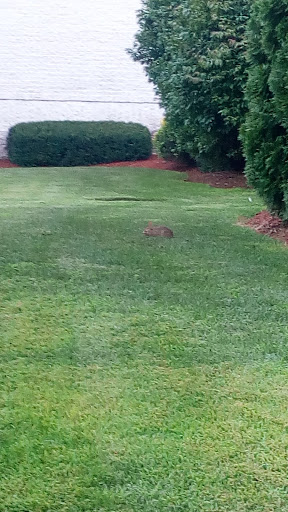 Wedding Venue «Castleton Banquet and Conference Center», reviews and photos, 58 Enterprise Drive, Windham, NH 03087, USA