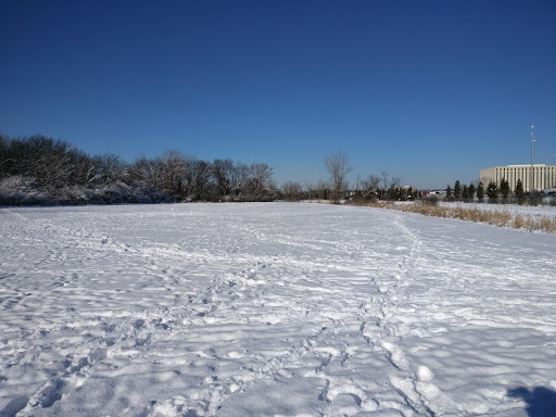 Dog Park «Beck Lake Off-Leash Dog Area», reviews and photos, 9700 Gloria Ct, Glenview, IL 60025, USA