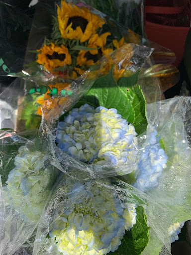 Florist «Flower Market», reviews and photos, 5851 Wiles Rd, Coral Springs, FL 33067, USA