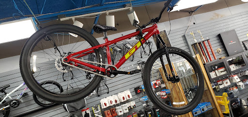 Bicycle Store «Bicycles Etc.», reviews and photos, 8036 Philips Hwy #8, Jacksonville, FL 32256, USA