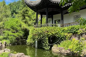 New York Chinese Scholar's Garden, Snug Harbor Cultural Center image