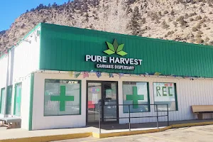 Pure Harvest Cannabis Dispensary, home of SofaKing Medicinal products image
