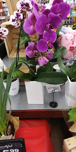 Grocery Store «Jewel-Osco», reviews and photos, 819 S Elmhurst Rd, Des Plaines, IL 60016, USA