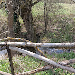 Photo n°3 de l'avis de Mar.a fait le 21/04/2022 à 10:28 sur le  Acqua Zolfa Ile Snc à Campobasso