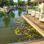 Photo n°8 de l'avis de Sam.r fait le 02/11/2019 à 22:11 sur le  Ristorante Erba Matta Cusago (MI) à Cusago