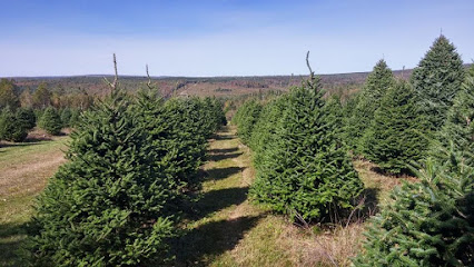 Balsam Ridge Christmas Tree Farm