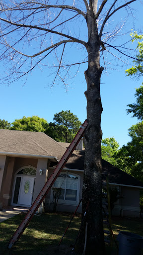 Golf Club «Marcus Pointe Golf Club», reviews and photos, 2500 Oak Pointe Dr, Pensacola, FL 32505, USA