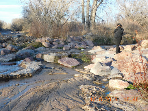 Park «Wildflower Park», reviews and photos, 980 Nolte Dr N, Colorado Springs, CO 80916, USA