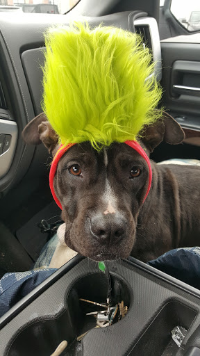 Pet Supply Store «Petco Animal Supplies», reviews and photos, 693 Middletown Warwick Rd, Middletown, DE 19709, USA