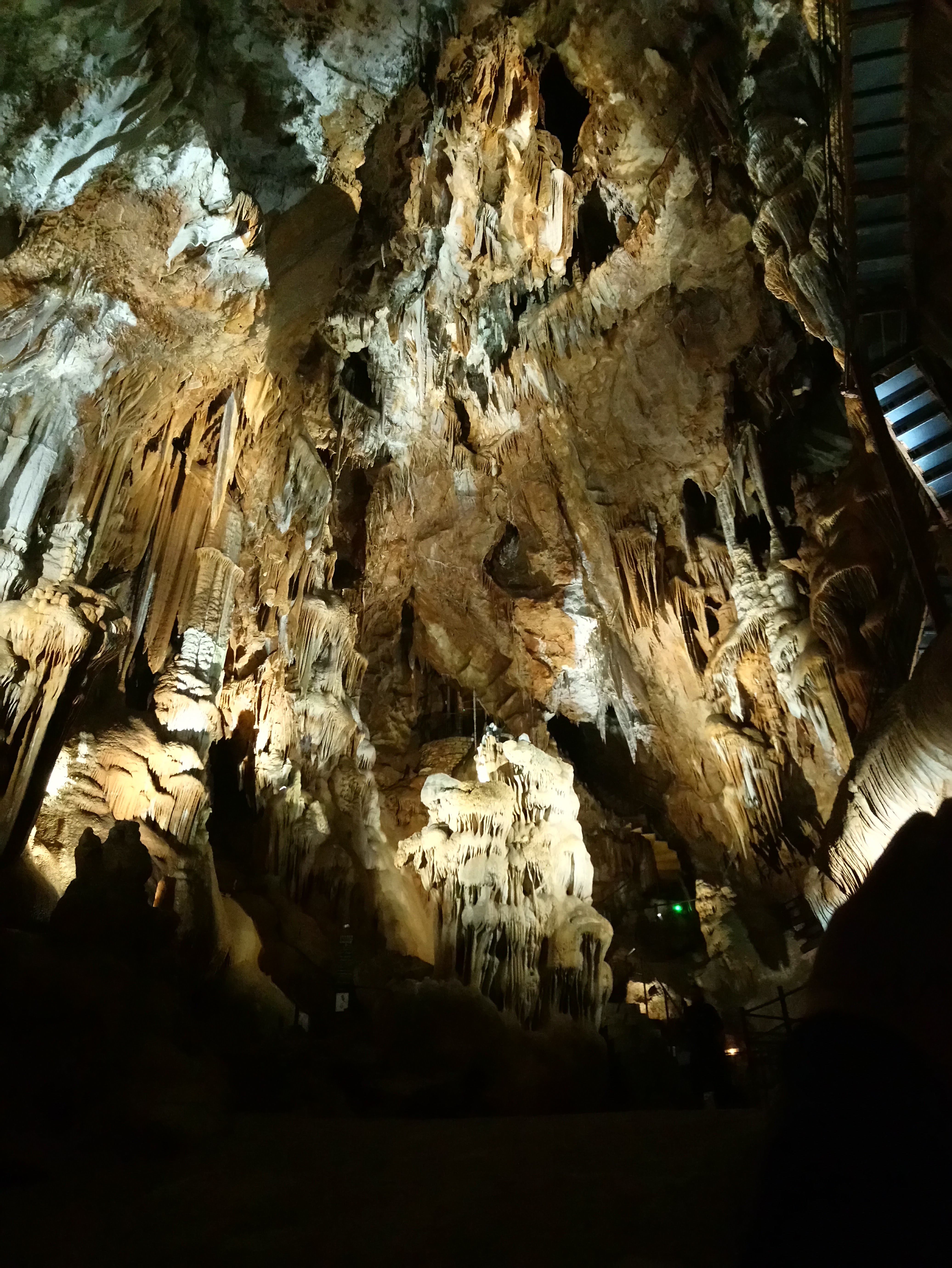 Photo n° 1 de l'avis de domi. fait le 15/07/2019 à 19:29
