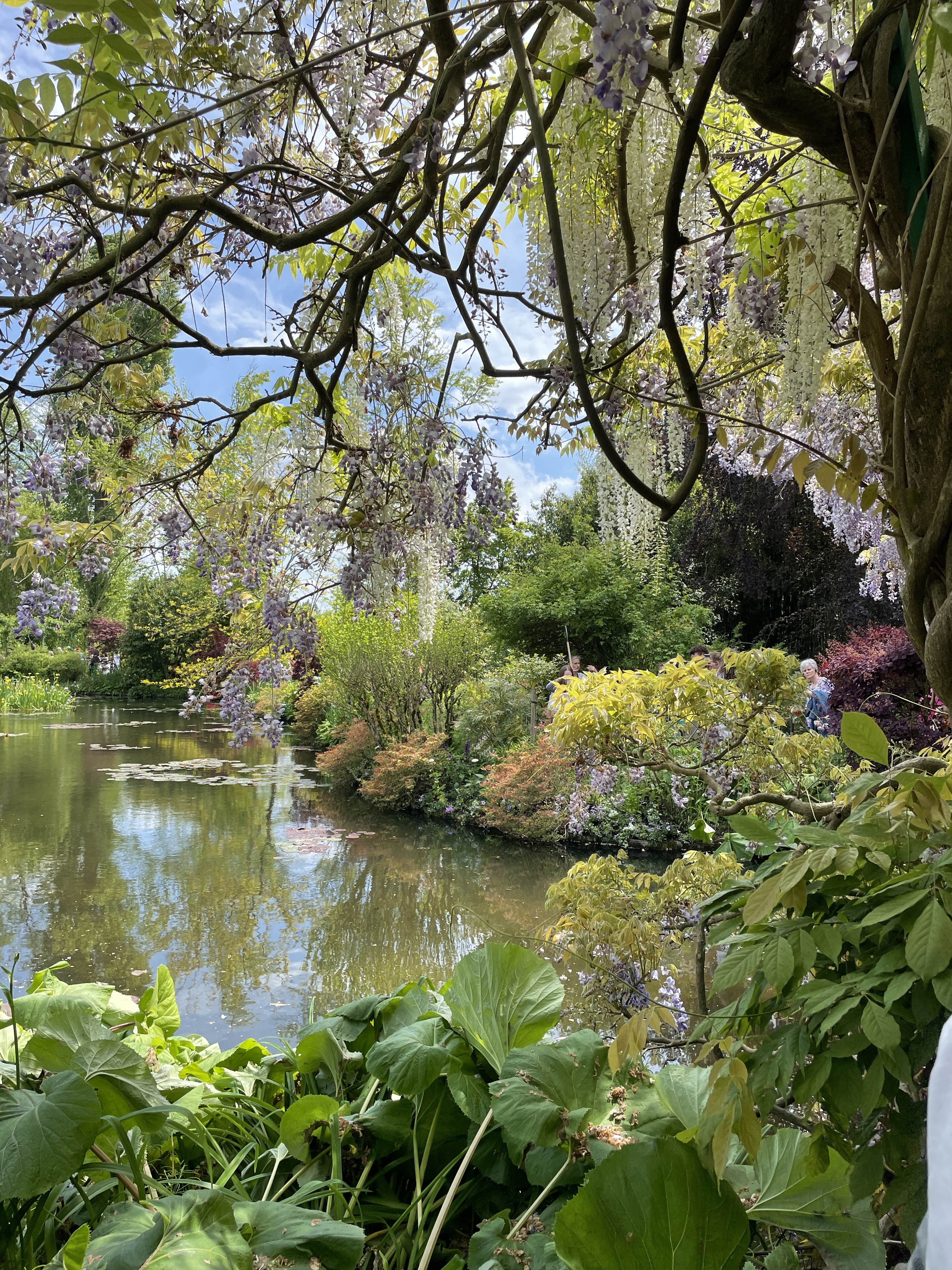 Photo n° 8 de l'avis de Leina.e fait le 22/05/2023 à 13:15