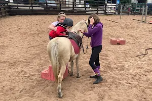 Mullaghmore Equestrian Centre image