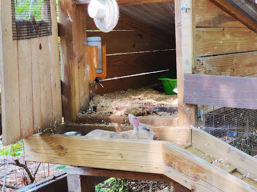 Nature Preserve «Autrey Mill Nature Preserve & Heritage Center», reviews and photos, 9770 Autrey Mill Rd, Johns Creek, GA 30022, USA