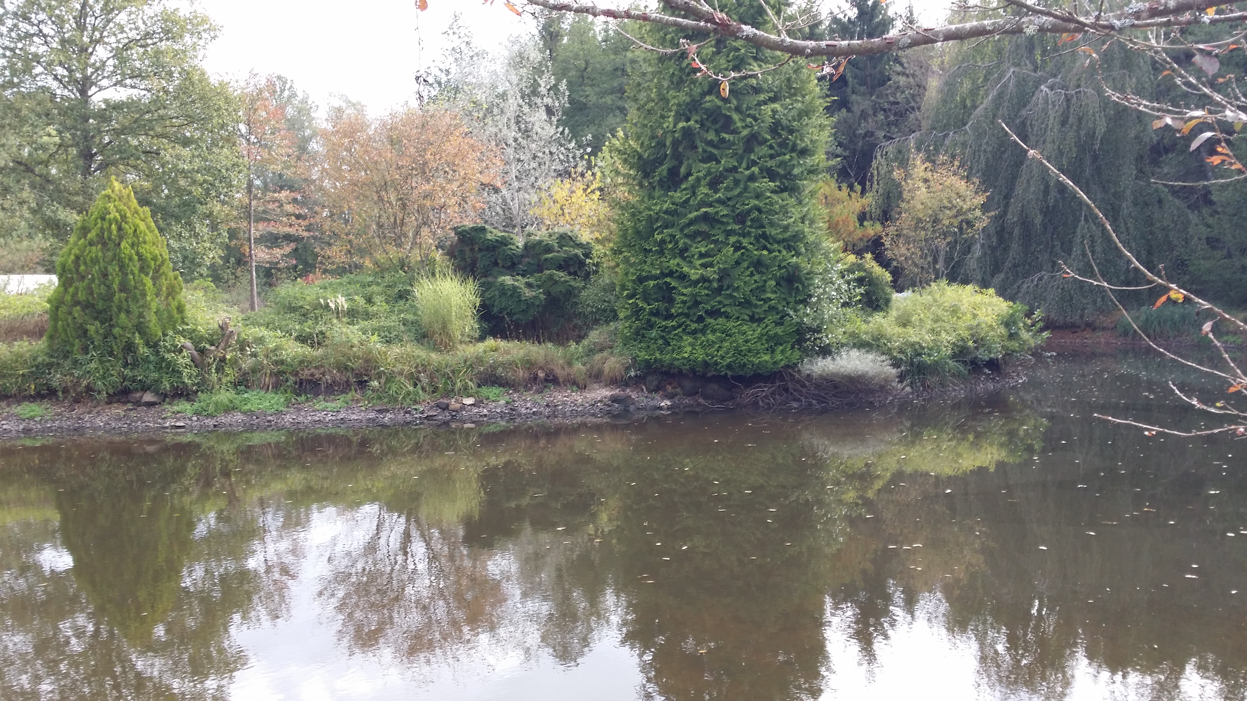 Photo n° 2 de l'avis de Christophe.a fait le 13/10/2018 à 14:31