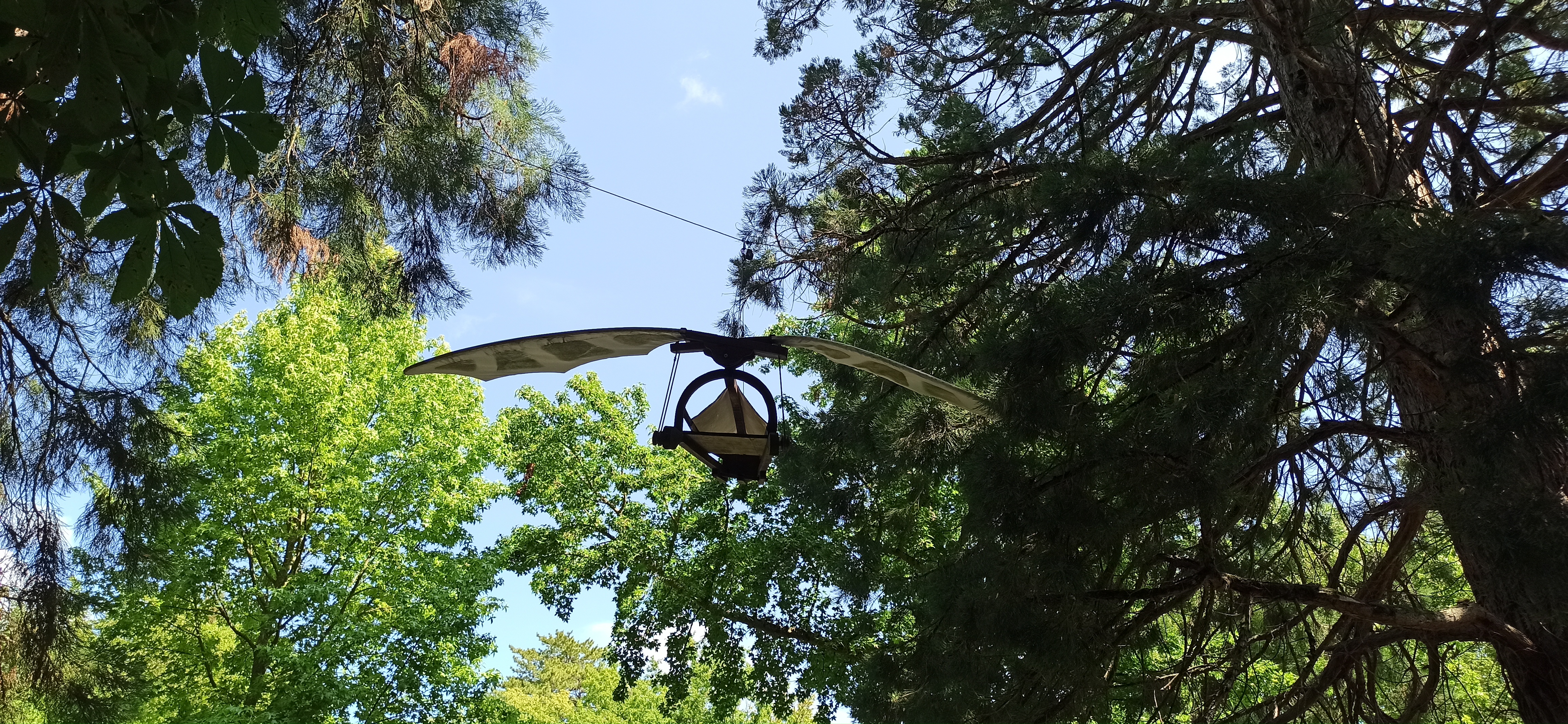 Photo n° 44 de l'avis de Patawin.e fait le 21/07/2023 à 11:31