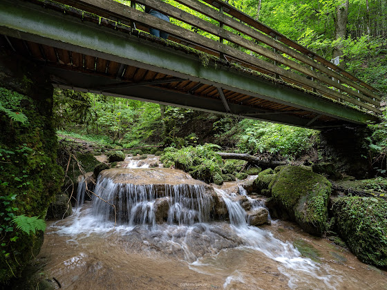 Extérieur Ferienwohnung SCHWARZWALDMÜHLE-CALW 75365 Calw
