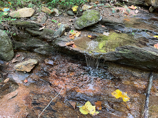 Park «Cromwell Valley Park», reviews and photos, 2002 Cromwell Bridge Rd, Parkville, MD 21234, USA