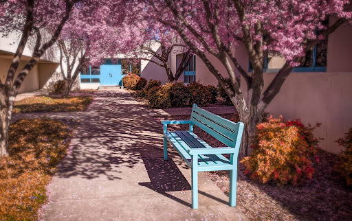 Community College «San Juan College», reviews and photos