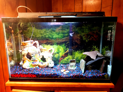 Pet Store «A to Z Pets», reviews and photos, 16010 SE Division St, Portland, OR 97236, USA