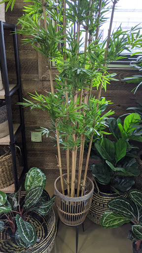 Garden Center «Pike Nurseries», reviews and photos, 615 W Crossville Rd, Roswell, GA 30075, USA