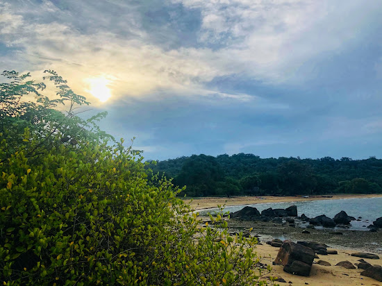 Sweat Bay