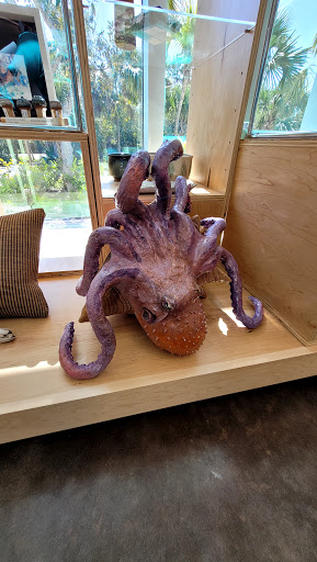 Art Center «BIG ARTS Sanibel», reviews and photos, 900 Dunlop Rd, Sanibel, FL 33957, USA