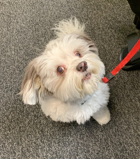 Ford Dealer «Maplecrest Ford of Mendham», reviews and photos, 102 E Main St, Mendham, NJ 07945, USA