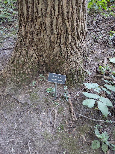 Nature Preserve «Meltzer Woods», reviews and photos, 1522 S 600 E, Shelbyville, IN 46176, USA