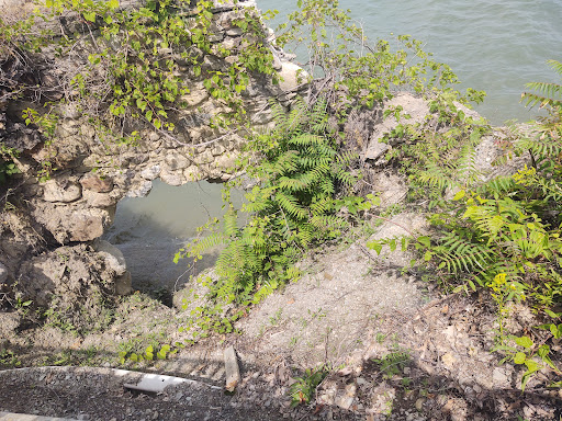 Historical Landmark «Dunkirk Lighthouse», reviews and photos, 1 Point Dr N, Dunkirk, NY 14048, USA