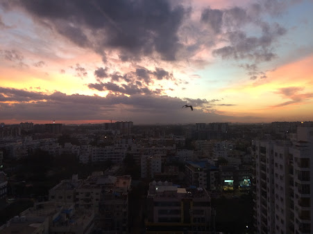 Google Maps image 10