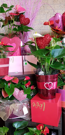 Grocery Store «Randalls», reviews and photos, 6600 S MoPac Expy, Austin, TX 78749, USA