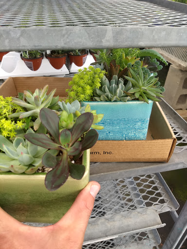 Florist «Fort Thomas Florists & Ghses.», reviews and photos, 63 S Grand Ave, Fort Thomas, KY 41075, USA