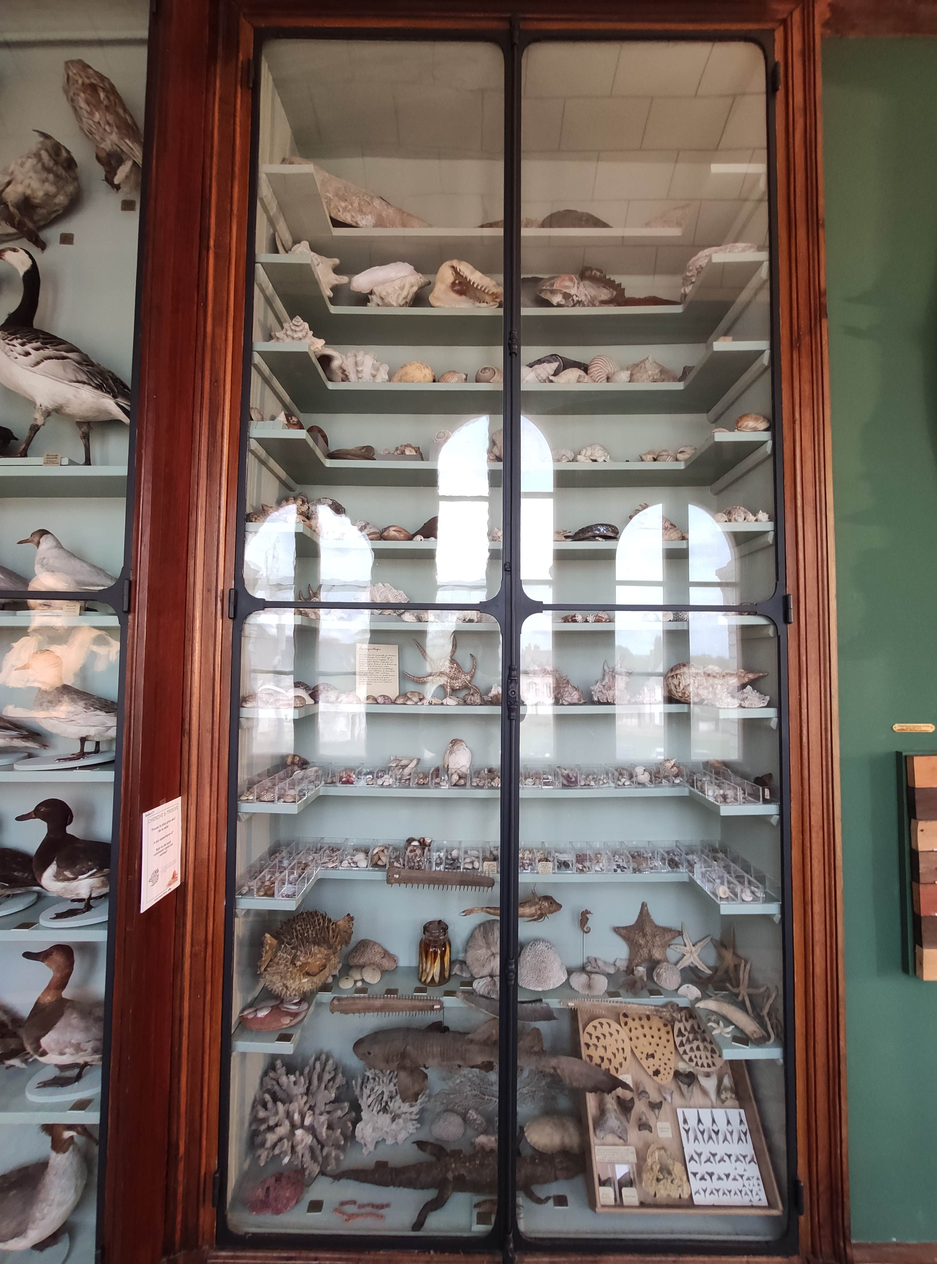 Photo n° 1 de l'avis de Marie.a fait le 13/04/2022 à 17:15