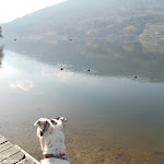 Photo n°14 de l'avis de Antonio.a fait le 22/03/2023 à 12:44 sur le  Ristorante Ca' Rossa à Pergine Valsugana