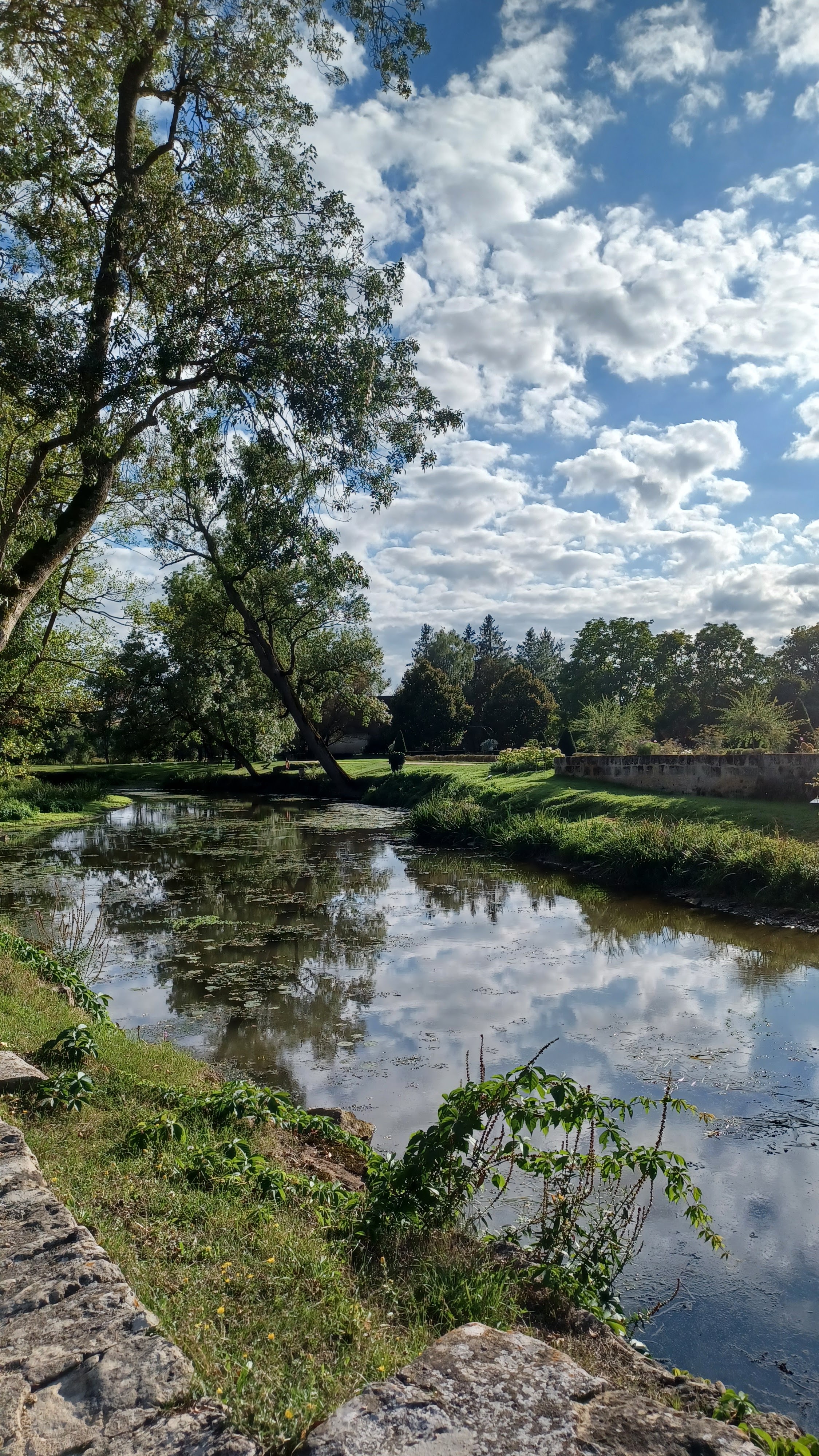 Photo n° 5 de l'avis de Mario.i fait le 17/09/2023 à 16:07