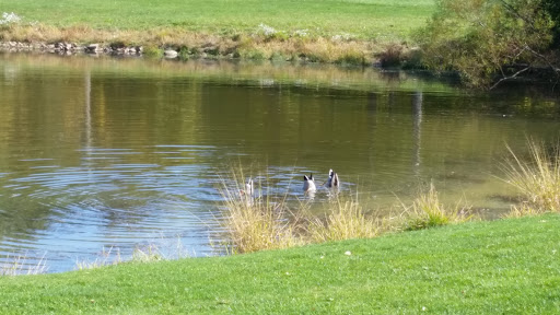 Golf Course «Hickory Nut Golf Course», reviews and photos, 23601 Royalton Rd, Columbia Station, OH 44028, USA